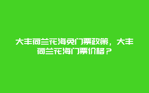 大丰荷兰花海免门票政策，大丰荷兰花海门票价格？