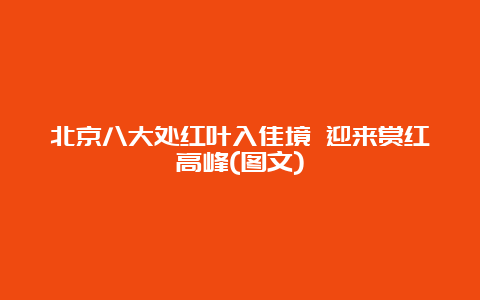 北京八大处红叶入佳境 迎来赏红高峰(图文)