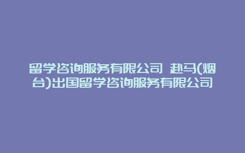 留学咨询服务有限公司 赴马(烟台)出国留学咨询服务有限公司