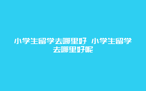 小学生留学去哪里好 小学生留学去哪里好呢