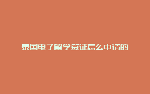 泰国电子留学签证怎么申请的