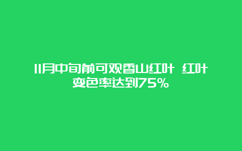 11月中旬前可观香山红叶 红叶变色率达到75%