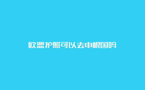 欧盟护照可以去申根国吗