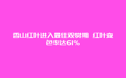 香山红叶进入最佳观赏期 红叶变色率达61%