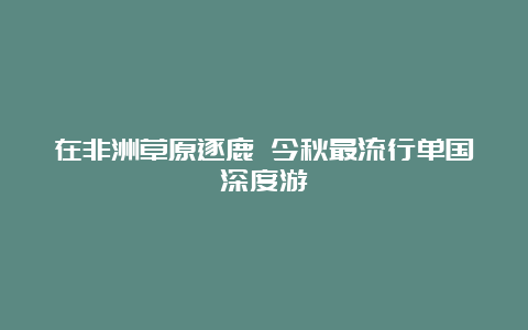 在非洲草原逐鹿 今秋最流行单国深度游