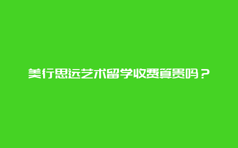 美行思远艺术留学收费算贵吗？