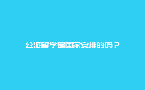 公派留学是国家安排的吗？