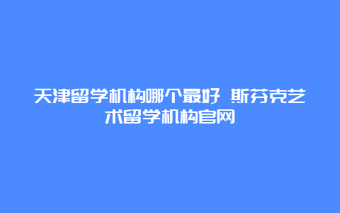 天津留学机构哪个最好 斯芬克艺术留学机构官网