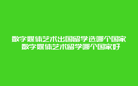 数字媒体艺术出国留学选哪个国家 数字媒体艺术留学哪个国家好