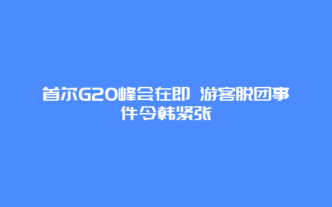 首尔G20峰会在即 游客脱团事件令韩紧张