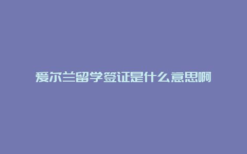 爱尔兰留学签证是什么意思啊