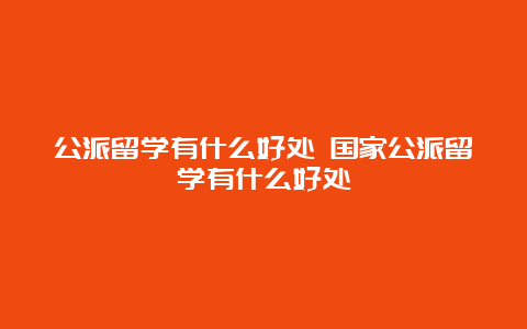 公派留学有什么好处 国家公派留学有什么好处