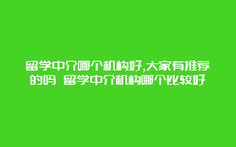 留学中介哪个机构好,大家有推荐的吗 留学中介机构哪个比较好