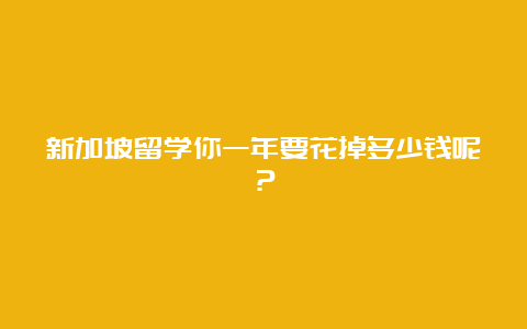 新加坡留学你一年要花掉多少钱呢？