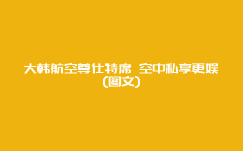 大韩航空尊仕特席 空中私享更娱(图文)