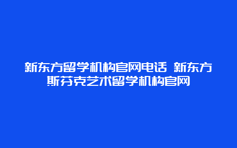 新东方留学机构官网电话 新东方斯芬克艺术留学机构官网