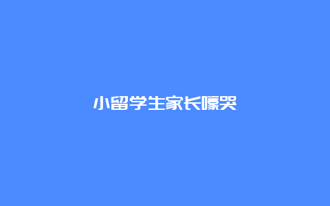 小留学生家长嚎哭