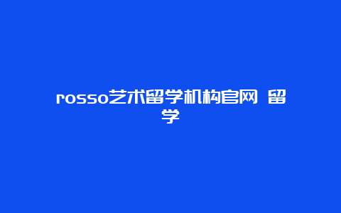 rosso艺术留学机构官网 留学