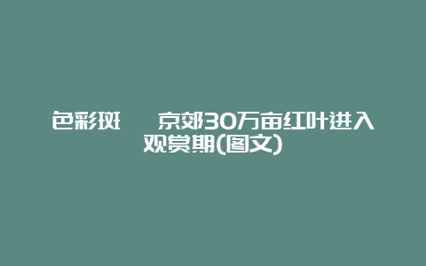 色彩斑斓 京郊30万亩红叶进入观赏期(图文)