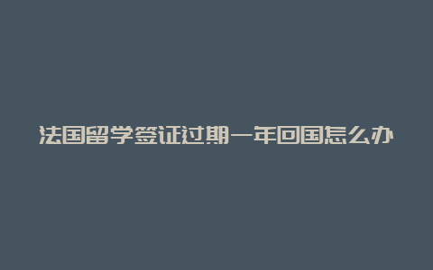 法国留学签证过期一年回国怎么办