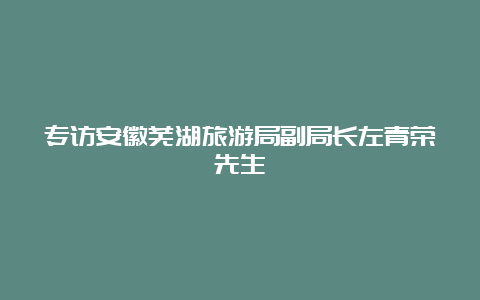 专访安徽芜湖旅游局副局长左青荣先生