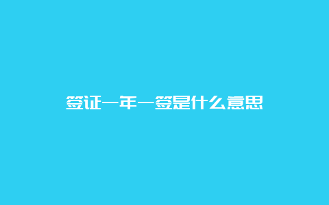 签证一年一签是什么意思