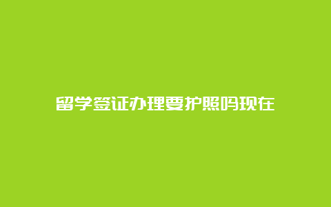 留学签证办理要护照吗现在