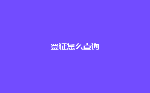 签证怎么查询