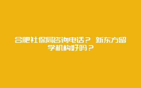 合肥社保局咨询电话？ 新东方留学机构好吗？