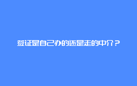 签证是自己办的还是走的中介？