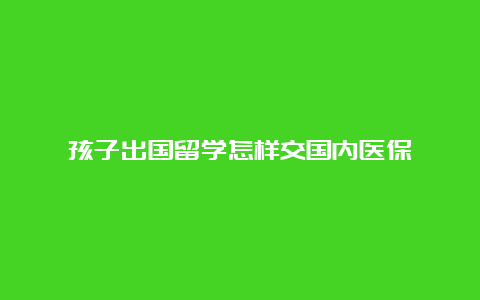 孩子出国留学怎样交国内医保