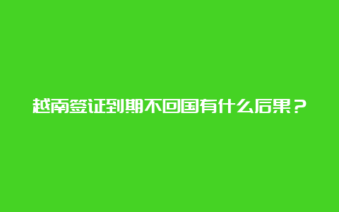 越南签证到期不回国有什么后果？