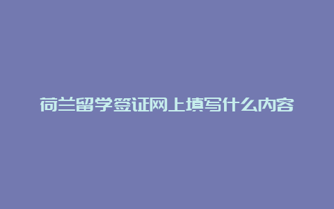 荷兰留学签证网上填写什么内容