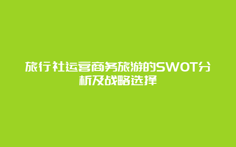 旅行社运营商务旅游的SWOT分析及战略选择