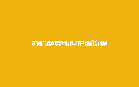 办哈萨克斯坦护照流程