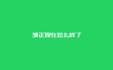 邹正现在怎么样了