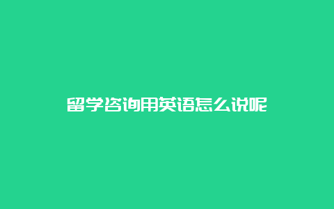 留学咨询用英语怎么说呢