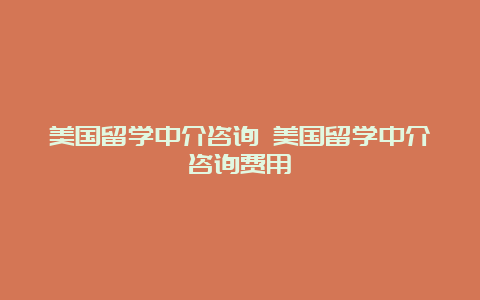 美国留学中介咨询 美国留学中介咨询费用