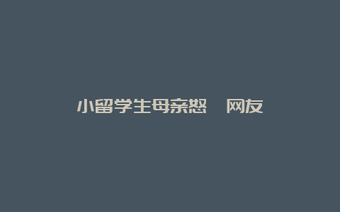 小留学生母亲怒怼网友