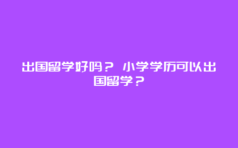 出国留学好吗？ 小学学历可以出国留学？