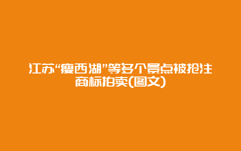 江苏“瘦西湖”等多个景点被抢注商标拍卖(图文)