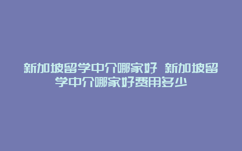 新加坡留学中介哪家好 新加坡留学中介哪家好费用多少