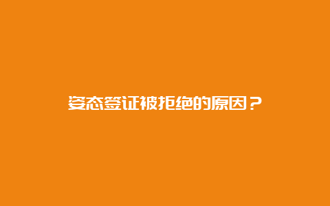 姿态签证被拒绝的原因？