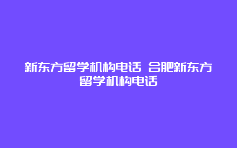 新东方留学机构电话 合肥新东方留学机构电话