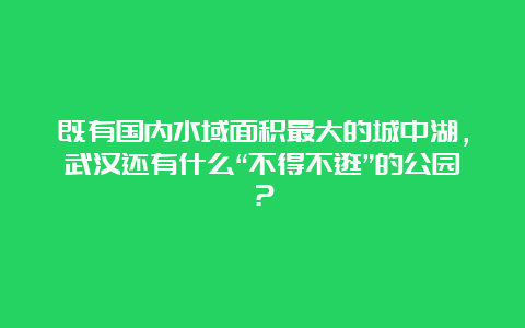 既有国内水域面积最大的城中湖，武汉还有什么“不得不逛”的公园？