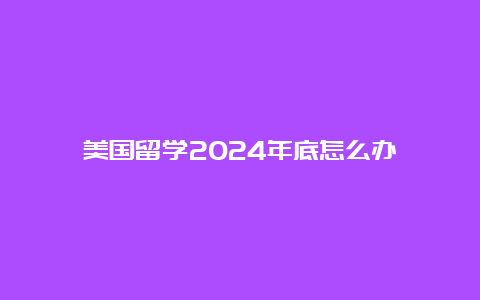 美国留学2024年底怎么办