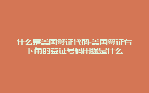 什么是美国签证代码-美国签证右下角的签证号码用途是什么