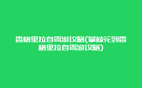 香格里拉自驾游攻略(攀枝花到香格里拉自驾游攻略)