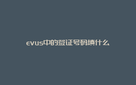 evus中的签证号码填什么