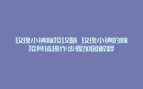 玫瑰小镇嫁接攻略 玫瑰小镇的嫁接具体操作步骤加图解释